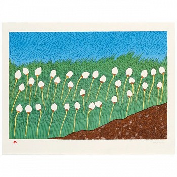 Artist: Nicotye Samayualie