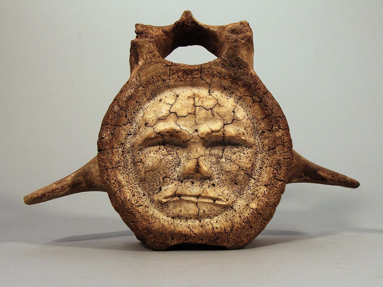 Fossilized Whale Bone Frog Carving