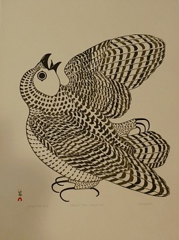 Kananginak Pootoogook -&nbsp;Young Arctic Owl, 31/100